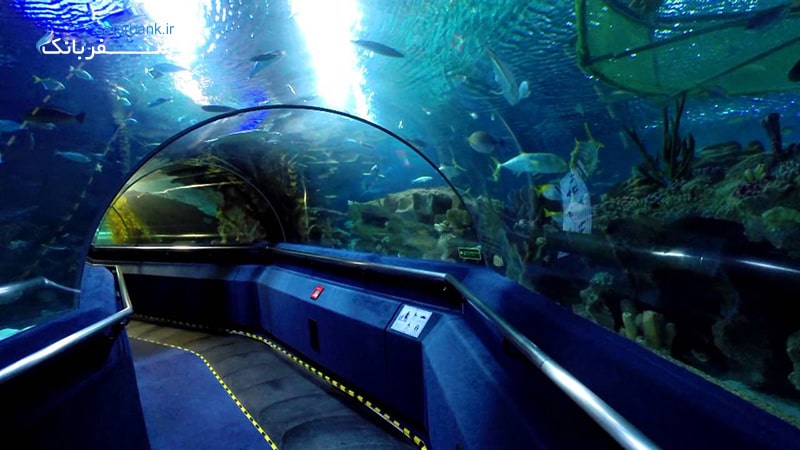 تونل زیر آب در آکواریوم کی ال سی سی کوالالامپور